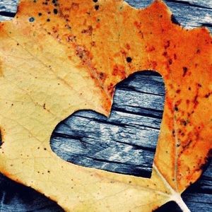 Meet your Posher, Maggie